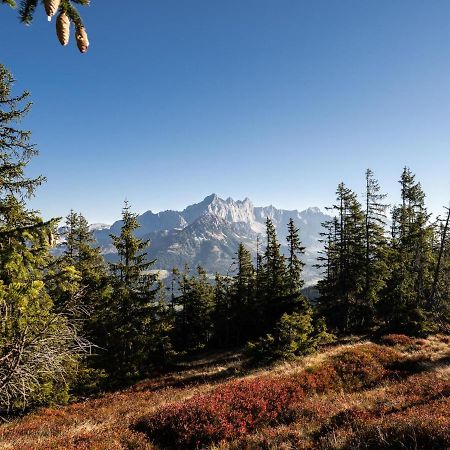 Schattbergblick Saalbach-Hinterglemm Extérieur photo